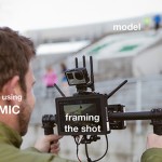 mimic_22