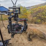 freefly_intervierw_3