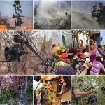 freefly_intervierw_6