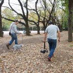 crane_2_review_1